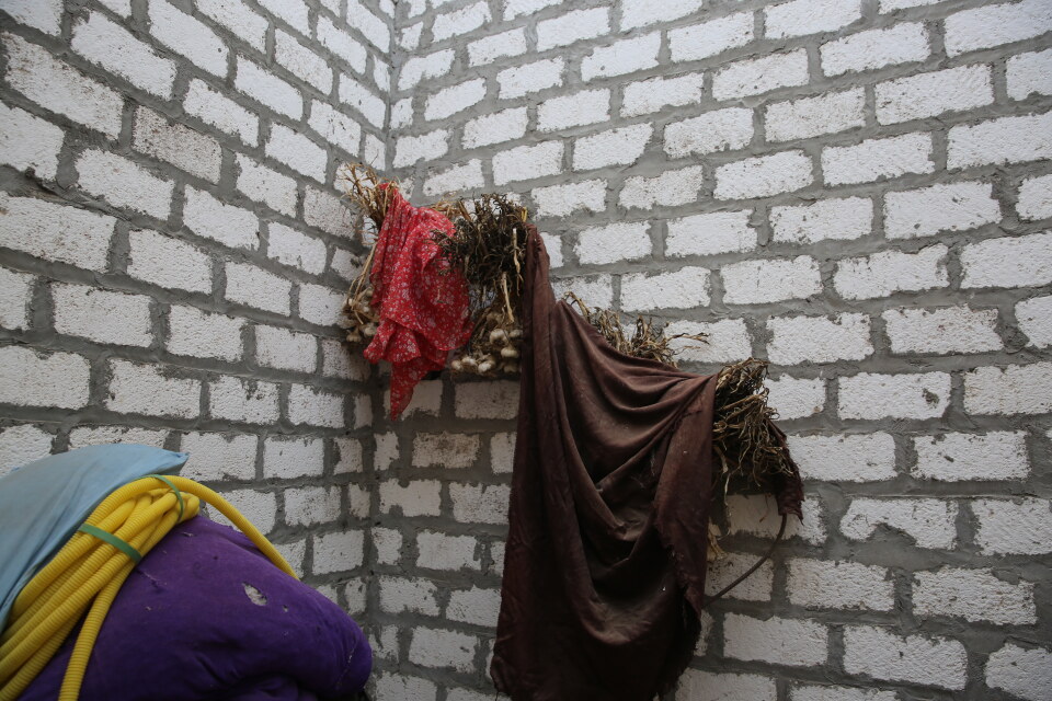 Thumbnail for Activities of the Egyptian Rural Enhancement Project, Erath in Minya