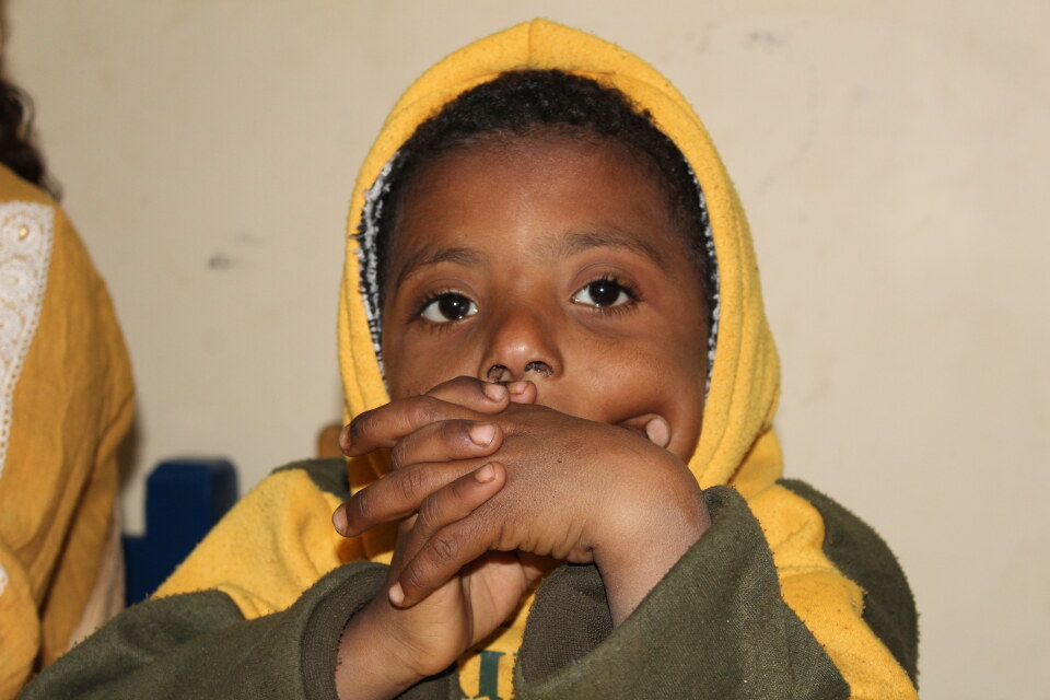 Thumbnail for Health improvement project in collaboration with the Olive Tree Foundation and German aid.