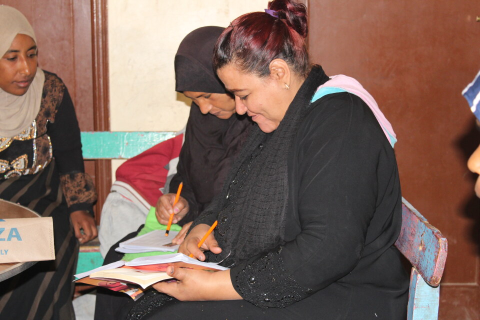 Thumbnail for Economic and social empowerment project for women