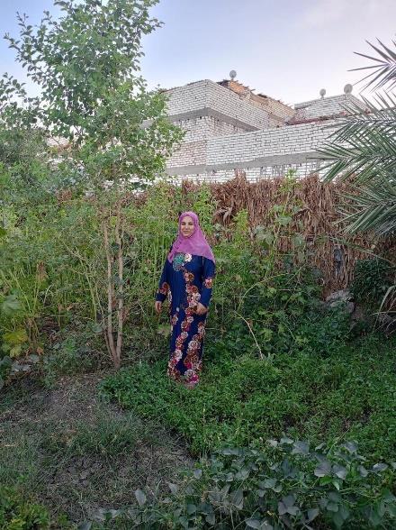 Thumbnail for The Environmental Development Program